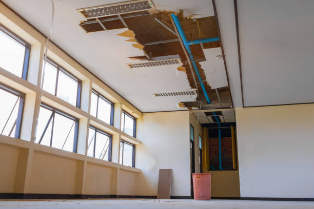 Best Flood damage cleanup  in Russellton, PA