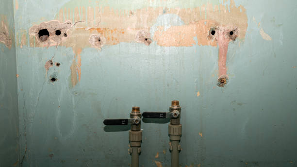 Best Basement water damage restoration  in Russellton, PA