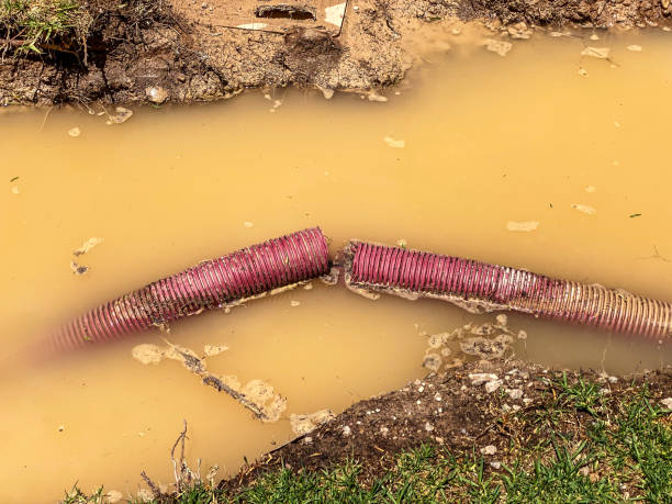 Best Water damage restoration cost  in Russellton, PA